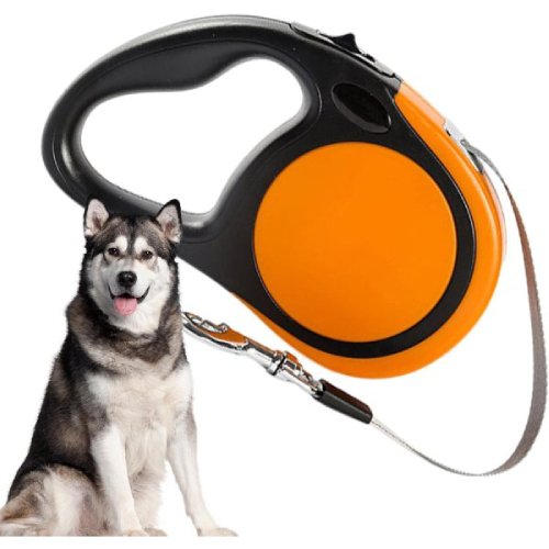 Köpek Tasmaları